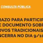 consulta pública